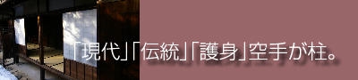 「打撃」「伝統」「護身」空手が柱。